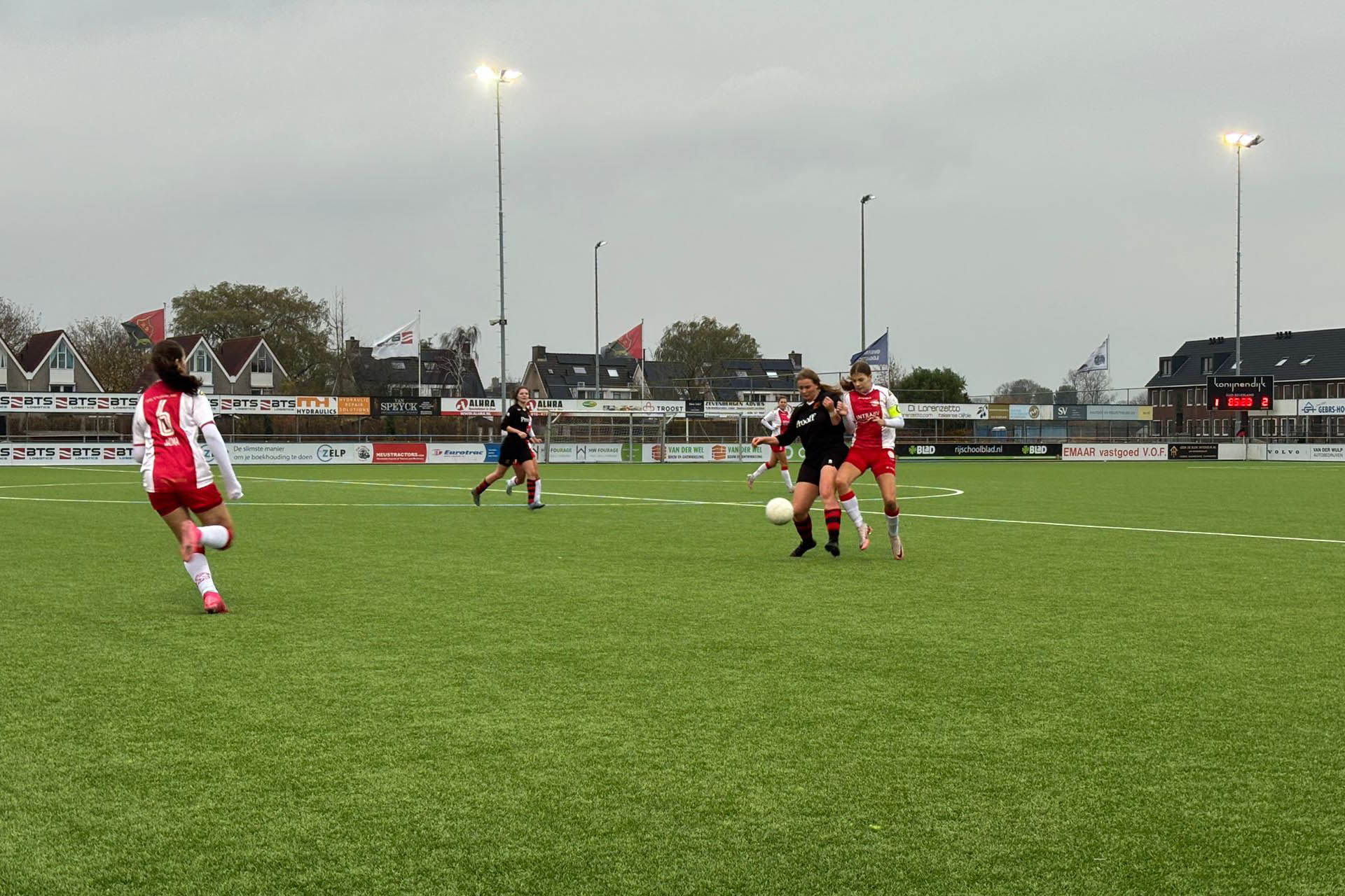 SSS IJsselmeervogels3